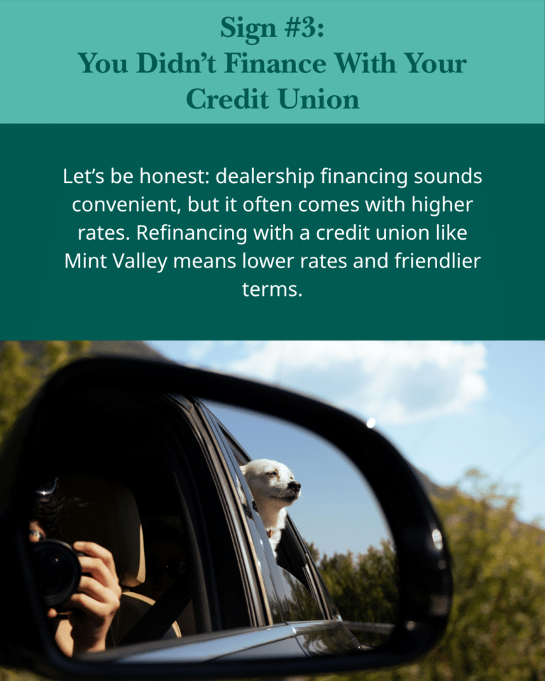 Alt text: "Promo for refinancing with Mint Valley Credit Union. A joyful dog leans out a car window, seen in the side mirror, under finance advice text."