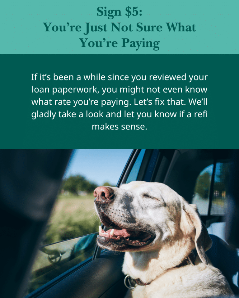Calming image with text about reviewing loans. A happy dog enjoys a car ride, eyes closed, head out the window. Keywords: loans, review, happy dog.
